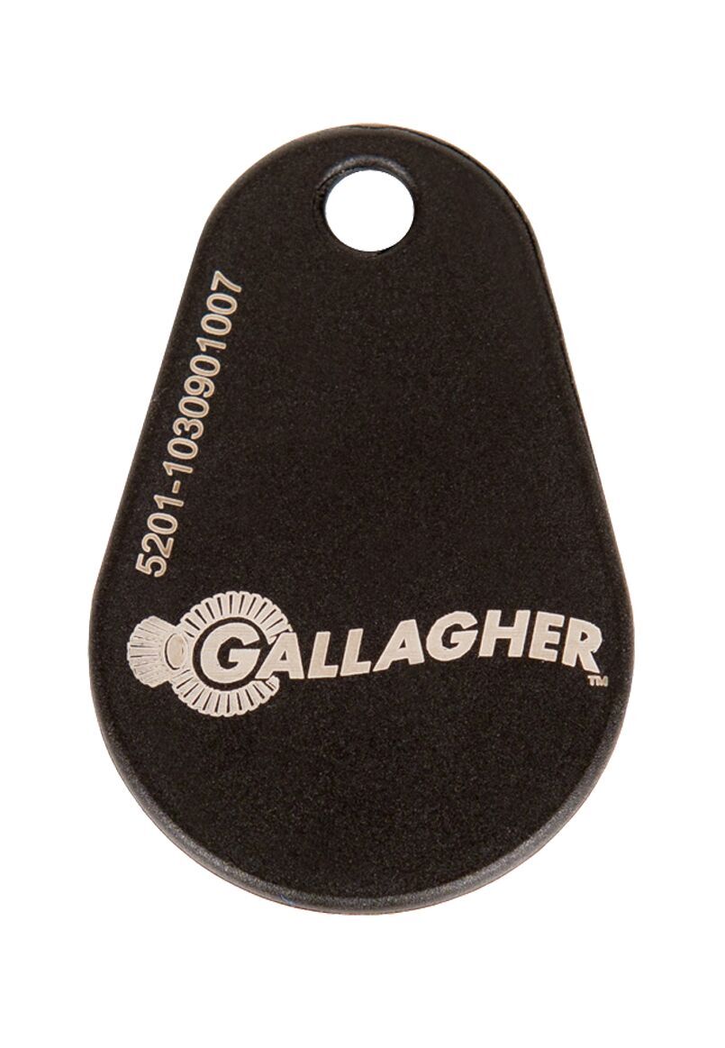 Gallagher Credentials C196301 – Porte-clés MIFARE Classic 1 Ko, noir