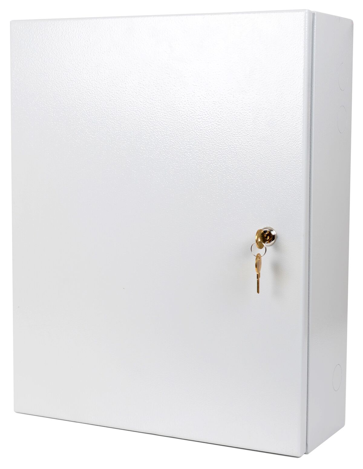 Gallagher Cabinets C300121 – Coffret acier pour contrôleur 2 portes
