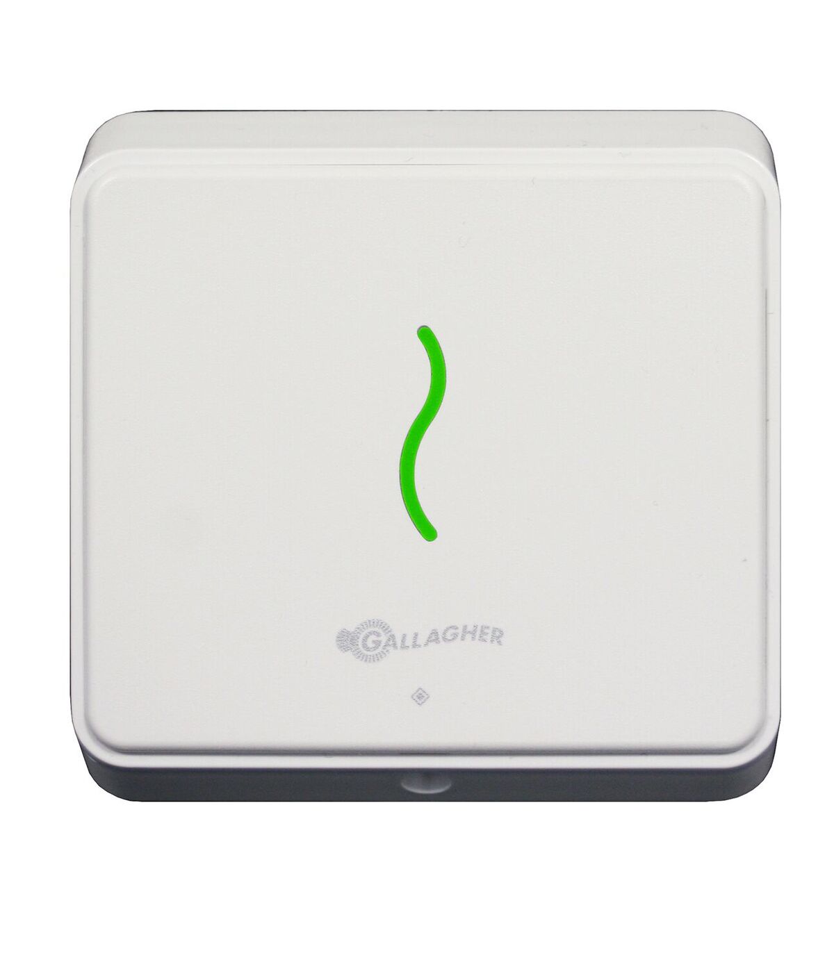 Gallagher T Series C300421 – Lecteur T12 MIFARE, blanc