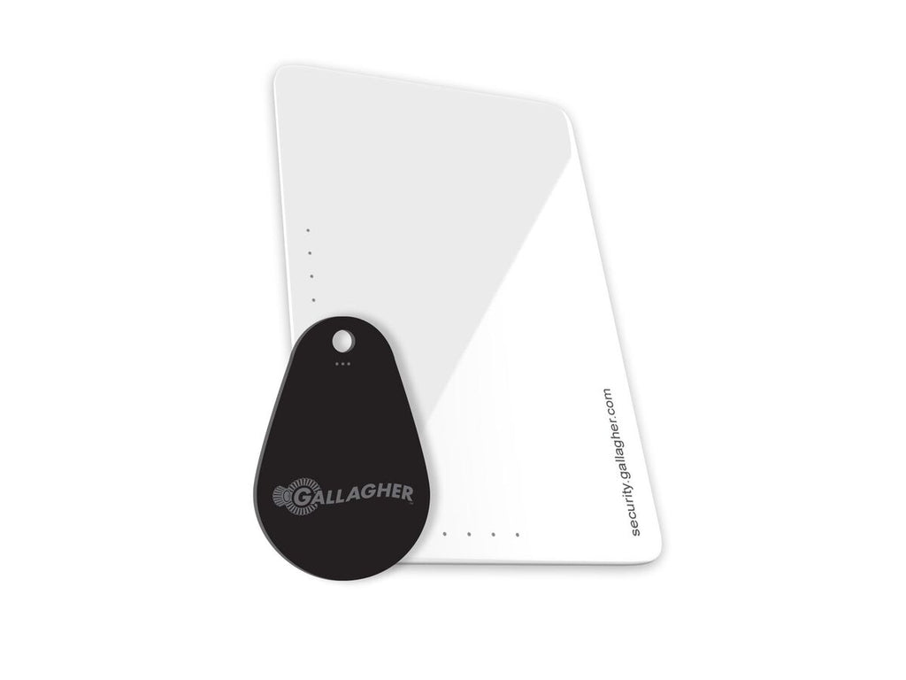 Gallagher Credentials C297405 – Porte-clés MIFARE DESFire EV3 4 Ko, noir