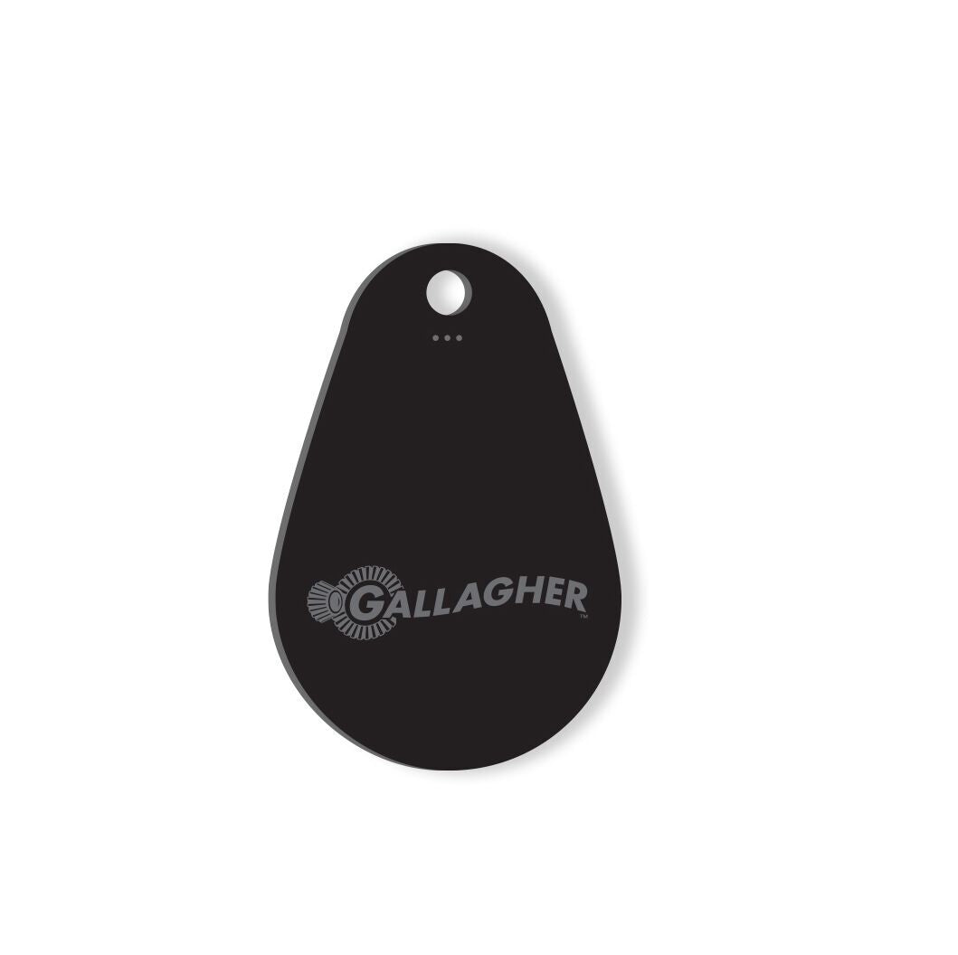 Gallagher Credentials C297405 – Porte-clés MIFARE DESFire EV3 4 Ko, noir