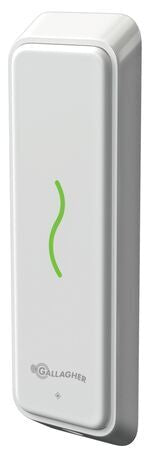 Gallagher High Sec C305401 – Lecteur T10 High Sec PIV, blanc
